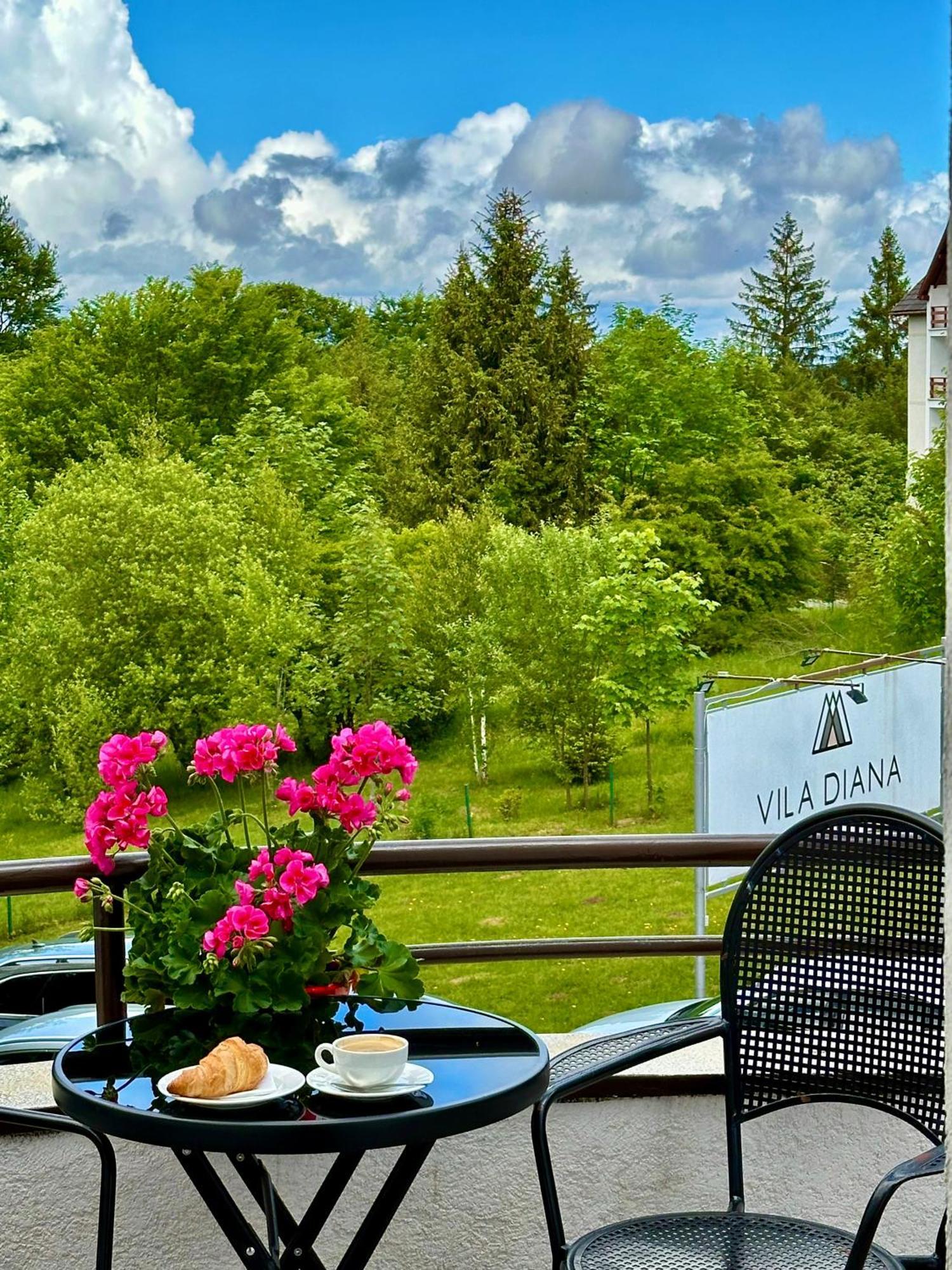 Vila Diana - Poiana Brasov Exterior foto